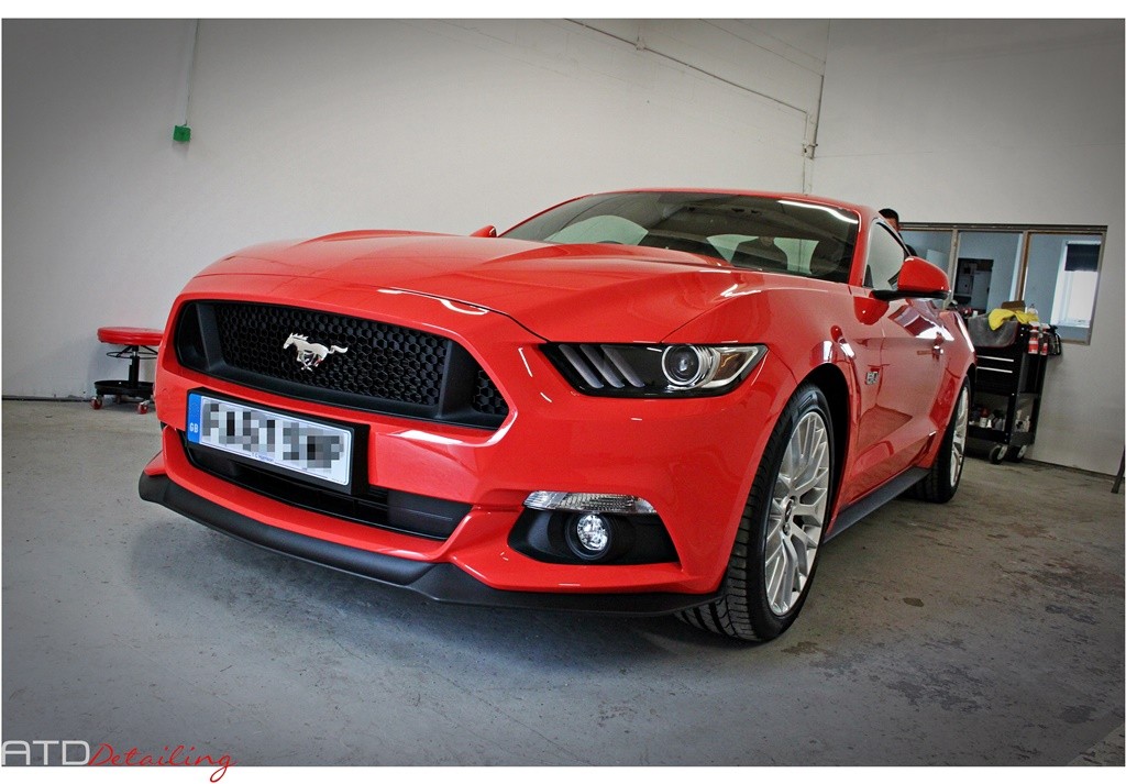Ford Mustang GT 2015 New Car Detail - ATD Detailing